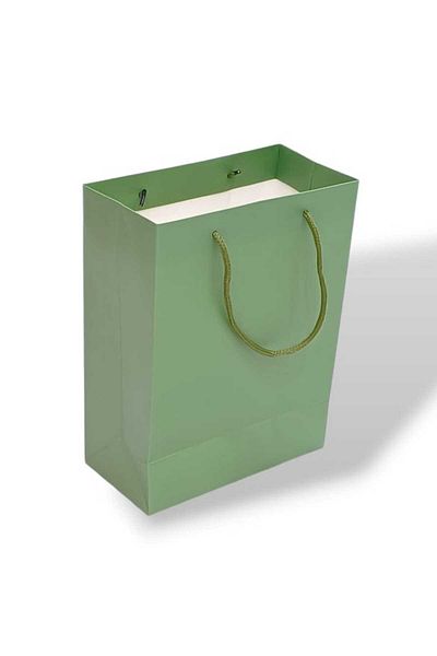 Party and Story Green 4pcs handmade cardboard gift bag Size 18Ã—9Ã—24CM
