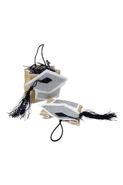 Party and Story Bags made of burlap for graduation occasions, sweets and small gifts, 12 pieces Size 8.50CM Ã—8CM