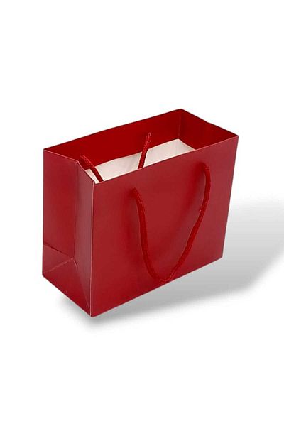 Party and Story Handmade cardboard gift bag 6pcs in classic red Size 12Ã—7Ã—15CM