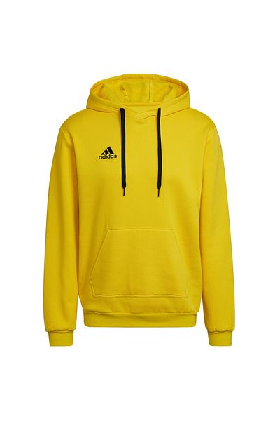 adidas Entrada 22 Sweat Hoodie, Men's Hoodie