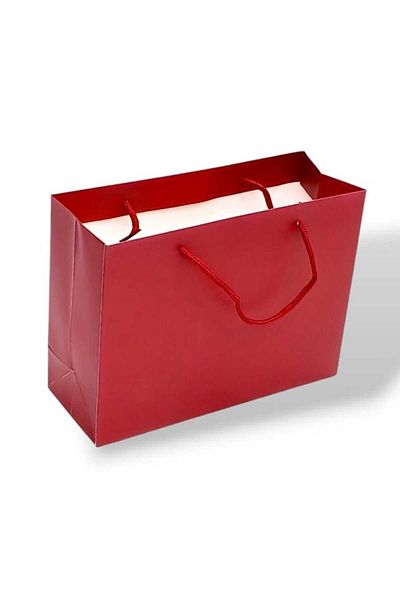 Party and Story Handmade cardboard gift bag 4pcs in classic red Size 18Ã—9Ã—24CM