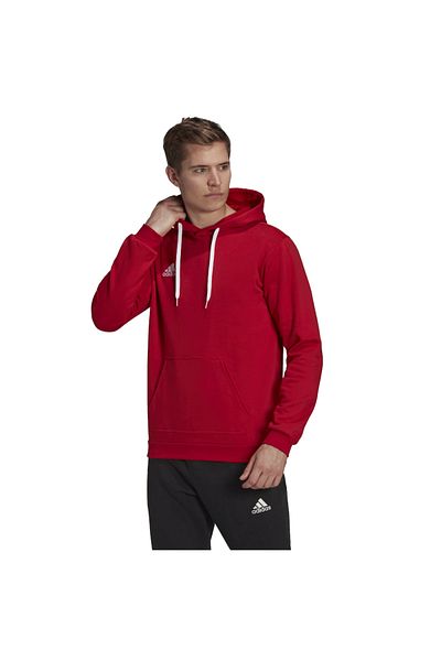 adidas Entrada 22 Sweat Hoodie, Men's Hoodie