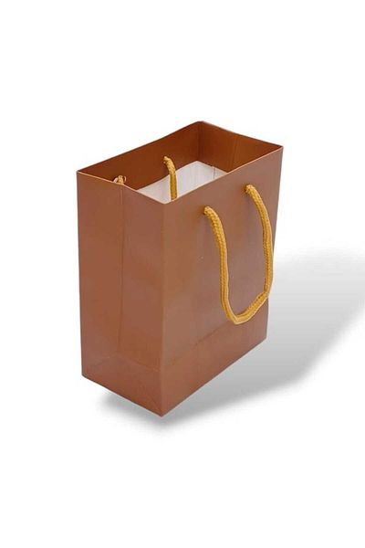 Party and Story Cartoon gift bag of 6 pieces in gold color Size 12Ã—7Ã—15CM