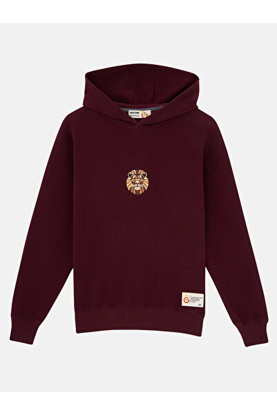 GSStore X Reflect Studio Aslan Çocuk Hoodie C242400