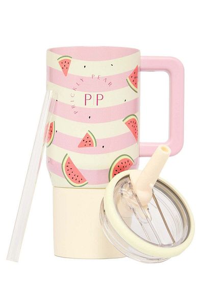 PRICKLY PEAR Stainless Steel Water Bottle 20 Oz Mini Hydrator Pink Watermelon Stripe