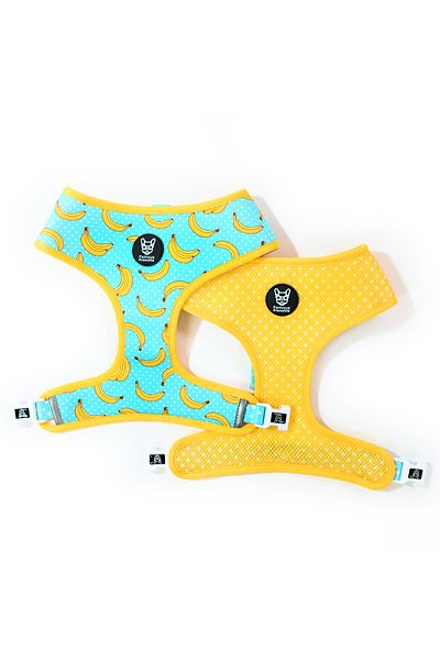 Famous Frenchie Dog Harness, Reversible, , Banana Split