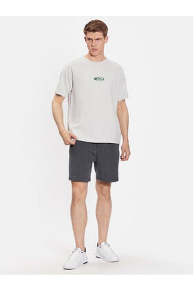 Quiksilver Men's T-Shirt EQYKT04279 Gray