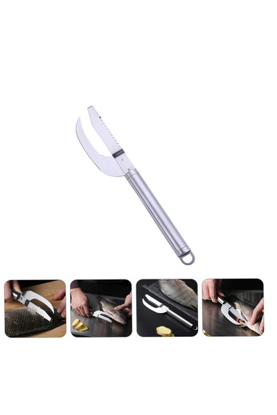 zola Dispozitiv pentru curatarea solzilor de peste,din inox, 22x4 cm, argintiu