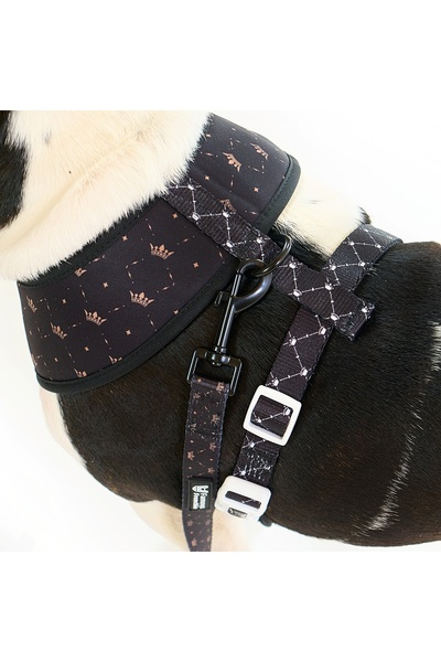 Famous Frenchie Ham Pentru Caini, Reversibil, , King & Queen