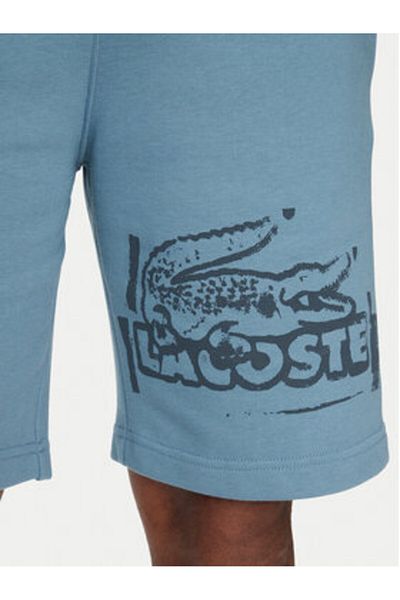 Lacoste Men's Sports Shorts GH0286 Blue