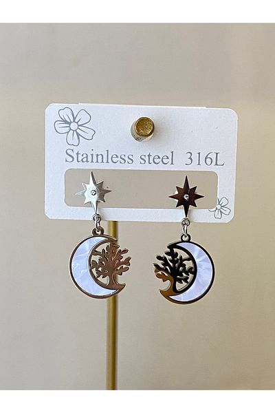 Çelik Crescent Steel Earrings