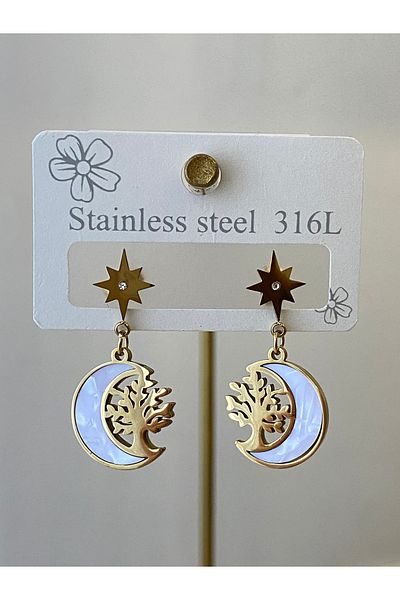 Çelik Crescent Steel Earrings