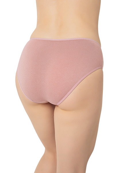 BEGBOR LİNGERİE Begbor Women's Set of 6 High Waist Cotton Slip Panties – Soft Elegance