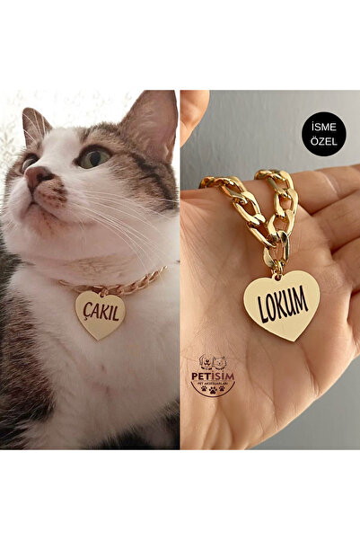 PETİSİM PET AKSESUARLARI Kedi Tasması Isimli Kedi Tasması Zincirli Tasma Pasl...