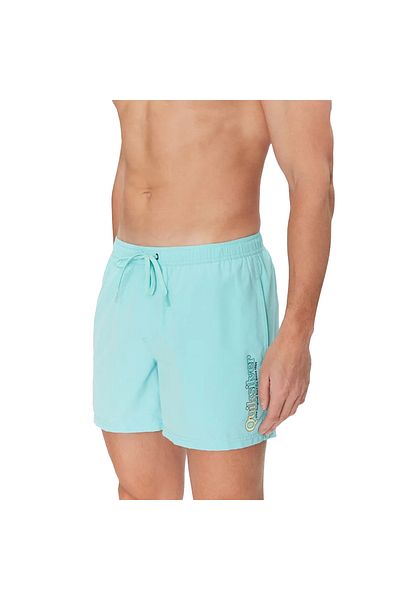 Quiksilver Spl Fineline Volley 15 Men's Blue Volley Short Men's Volley Short Eqyjv04141