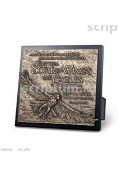 Editura Scriptum Placa - Vultur