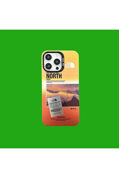 THE NORTH FACE The North Face case, compatible with Iphone 15 PRO, MOUNTAIN