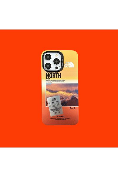 THE NORTH FACE The North Face case, compatible with Iphone 16 PRO, MOUNTAIN