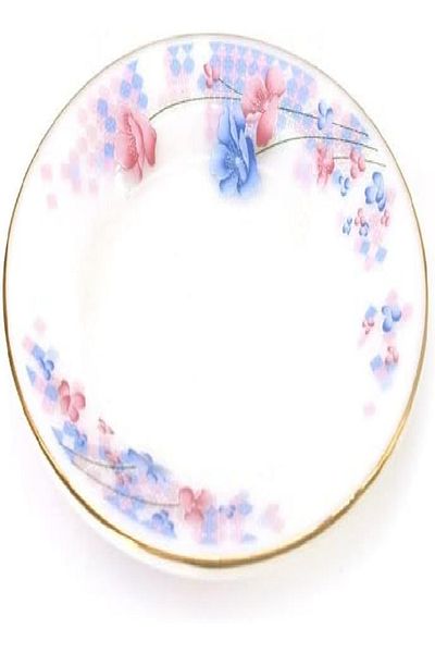 LTR L.T.R 7-Inch Dinner Plate – Durable & Stylish Design