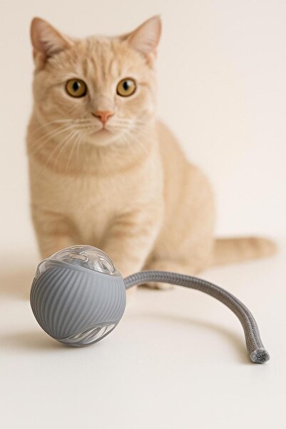 Genel Markalar Yeni Nesil Akıllı Hareketli Şarjlı Kedi Köpek Oyuncağı | Inter...