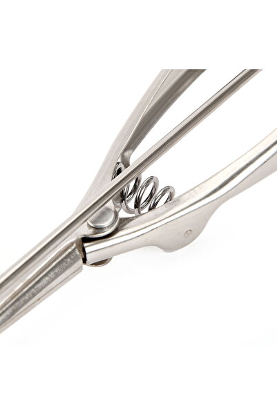 Benante Ice Cream Spoon - Gray