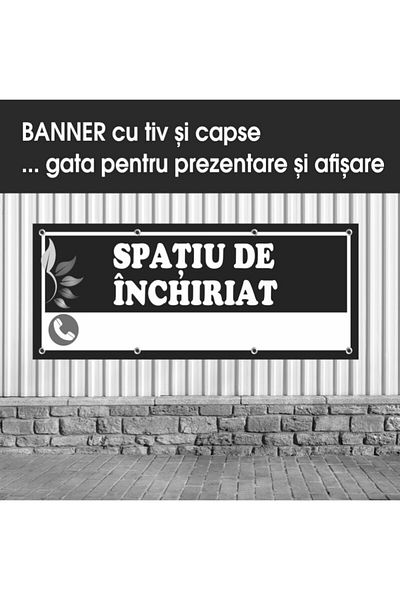 media Banner "Spatiu de inchiriat" model 1, 250 x 100 cm