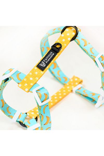 Famous Frenchie Dog harness, adjustable, Famous Frenchie, Banana Split, universal size