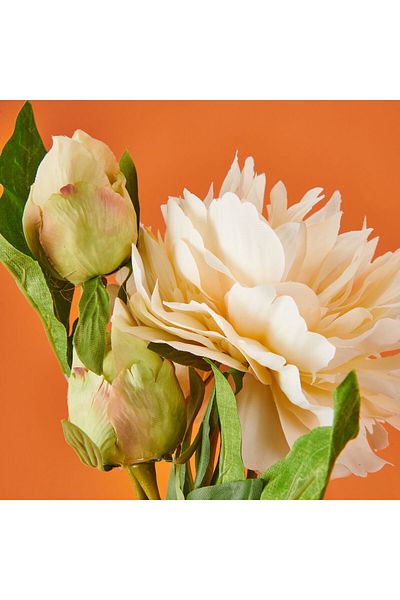 Herdekora Peony Artificial Flower - Cream - 65 cm