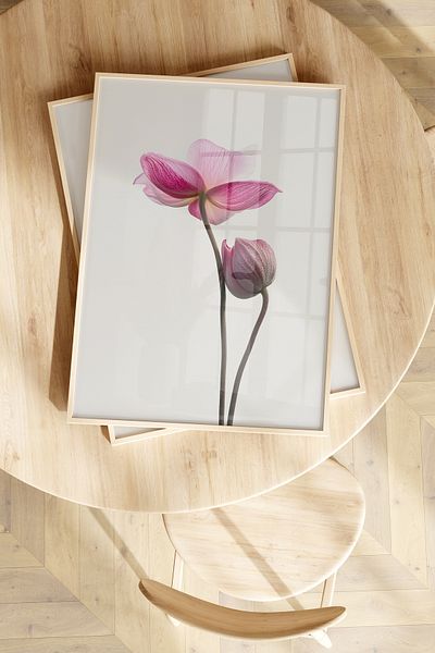 Home Σετ Lotus 2 τεμαχίων, Ροζ, Λουλούδι, Διακόσμηση σαλονιού, Διακόσμηση σαλονιού, Διακόσμηση σπιτιού Μαλακό, Χωρίς πλαίσιο