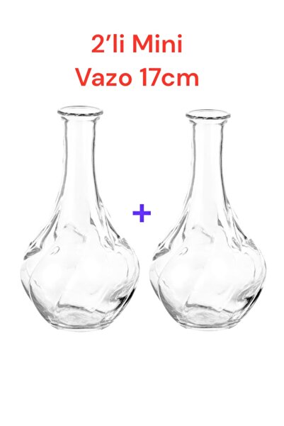 HOLLYHOME 2 Adet Dekoratif Cam Vazo, Viljestark 17 Cm