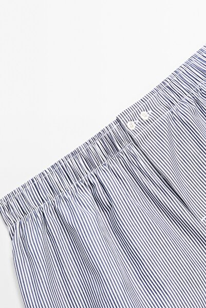 Massimo Dutti Çizgili boxer