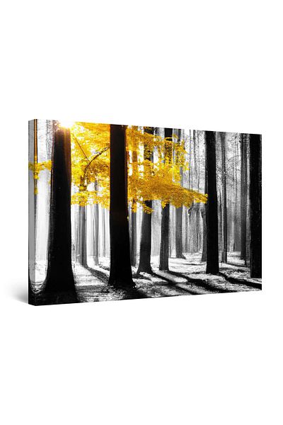 startonight Tablou DualView Startonight Padure Luminata cu Copaci cu Frunze Galbene, 80 x 120 cm