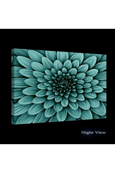 startonight DualView Startonight Picture White Flower Petals Detail, glow in the dark, 60 x 90 cm