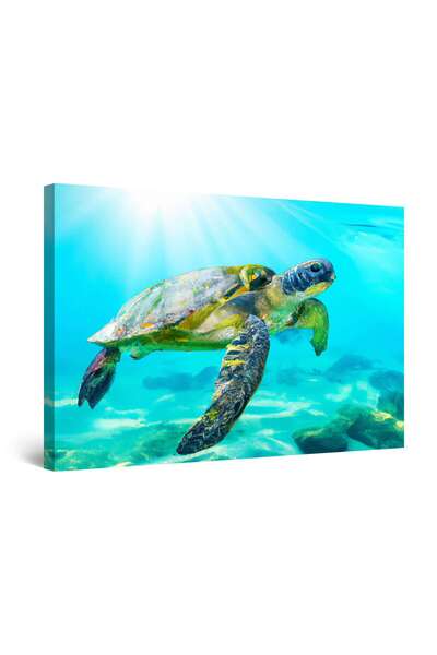 startonight Tablou DualView Startonight Testoasa in Ocean, luminos in intuneric, 80 x 120 cm