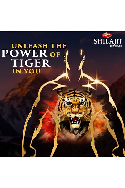 Dabur Shilajit Ayurvedic Capsules for Men – 30 pcs | Natural Energy, Stamina & Vitality Booster