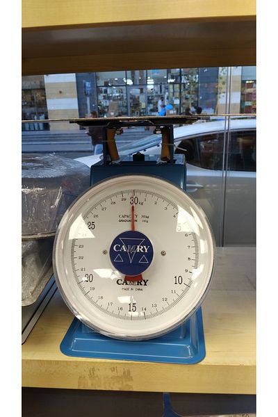 rexa Camry SP-30KG Digital Kitchen Scale – Blue, High Precision