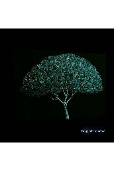 startonight Tablou DualView Startonight Neagra cu Copac Turqoise, luminos in intuneric, 60 x 90 cm