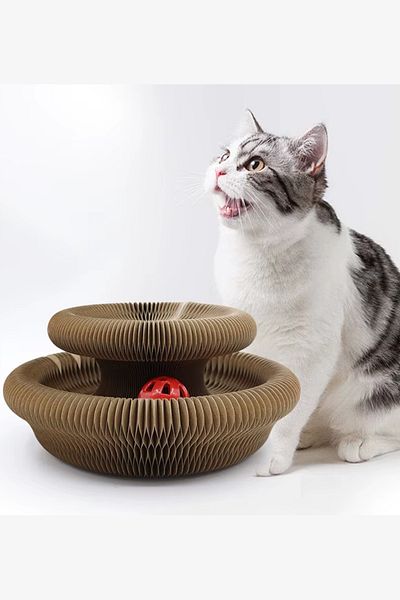 Vezir Aksesuar Fun and Functional Play Bed for Your Cat – Foldable, Stylish!