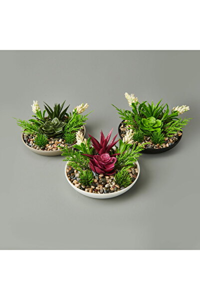 Genel Markalar Dekor Aranjman Sukulent - - 15x10 cm