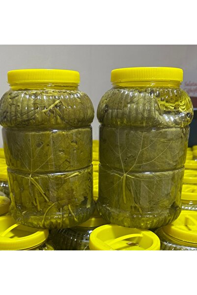 Fıstık Park Yaprak Salamura Damarsız Orta Boy(3 lt)