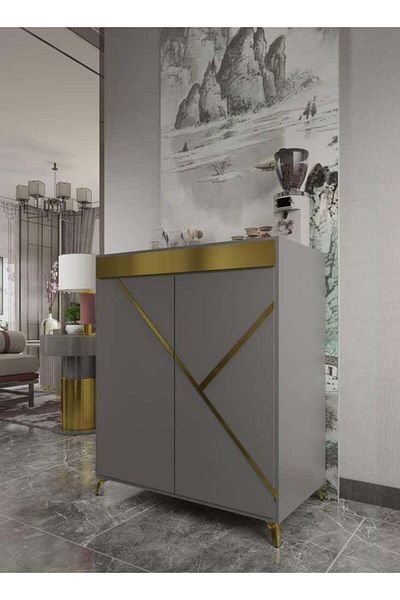 GENERAL Modern Small Shoe Cabinet with Two Doors - Elegant Gray with Gold Accents - 100x80 cm