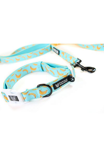 Famous Frenchie Dog collar, Famous Frenchie, Banana Split