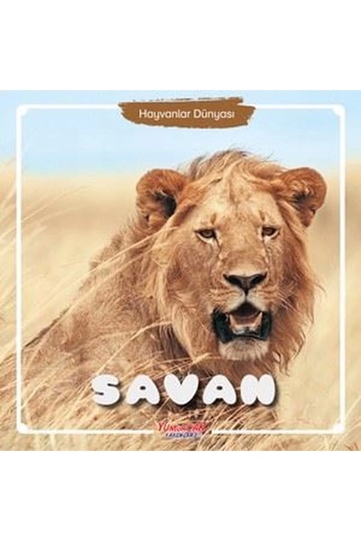 Genel Markalar Savan - Hayvanlar Dünyası