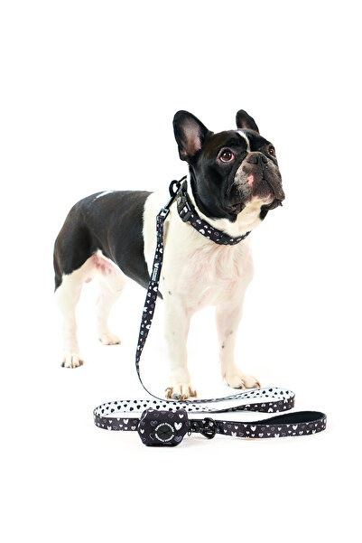 Famous Frenchie Puppy bag accessory, Famous Frenchie, Black Hearts