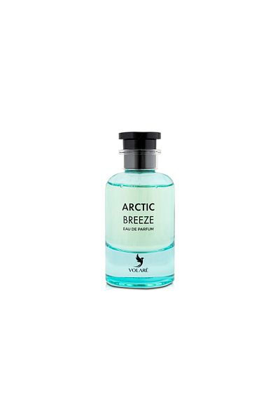 Volare Arctic Breeze | Inspired by Iconic Scents | Fresh & Spicy Fragrance | Eau De Parfum, 100ml - Unisex