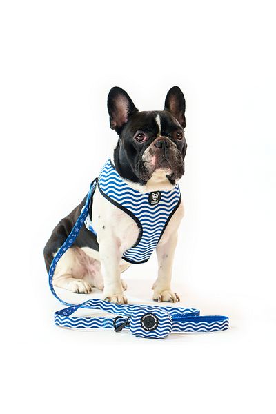 Famous Frenchie Accesoriu pungi pentru catei, Famous Frenchie, Prince of the Sea