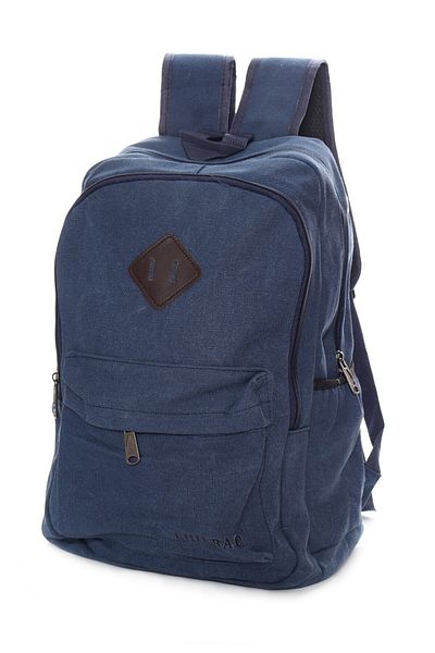 OEM Rucsac albastru pentru barbati, 2 compartimente, material textil, 43x30x20 cm, Recostore, REC1947
