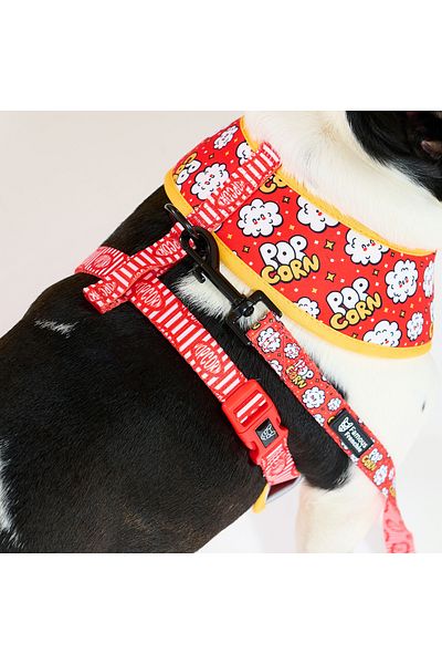 Famous Frenchie Lesa pentru caini, Famous Frenchie, Popcorn Fever, 150 cm