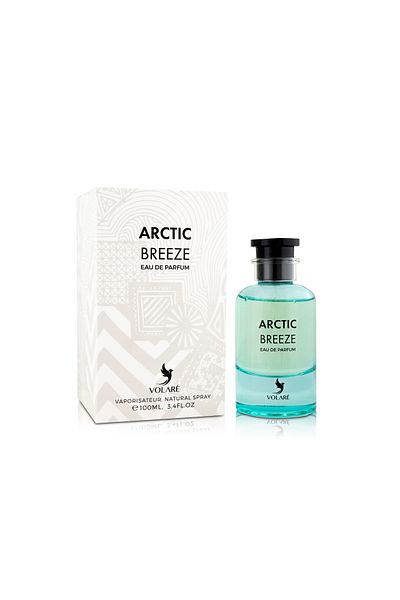 Volare Arctic Breeze | Inspired by Iconic Scents | Fresh & Spicy Fragrance | Eau De Parfum, 100ml - Unisex