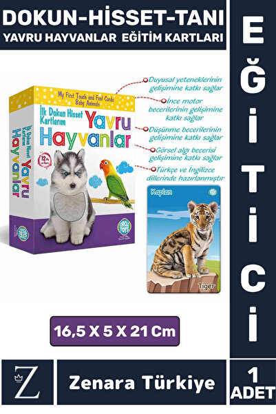 Zenara بطاقات تدريبية تعليمية للأطفال للتنسيق البصري والمرح، بطاقات تعليمية ل...